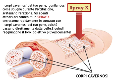 erezione e problemi di testa restaurant erezione e problemi di testa restaurant